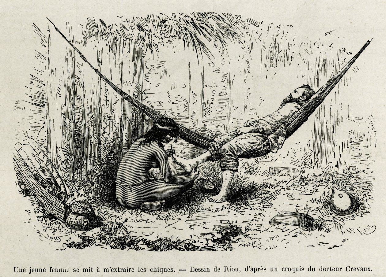 A young Roucouyan woman extracts the shies that have beamed the explorer