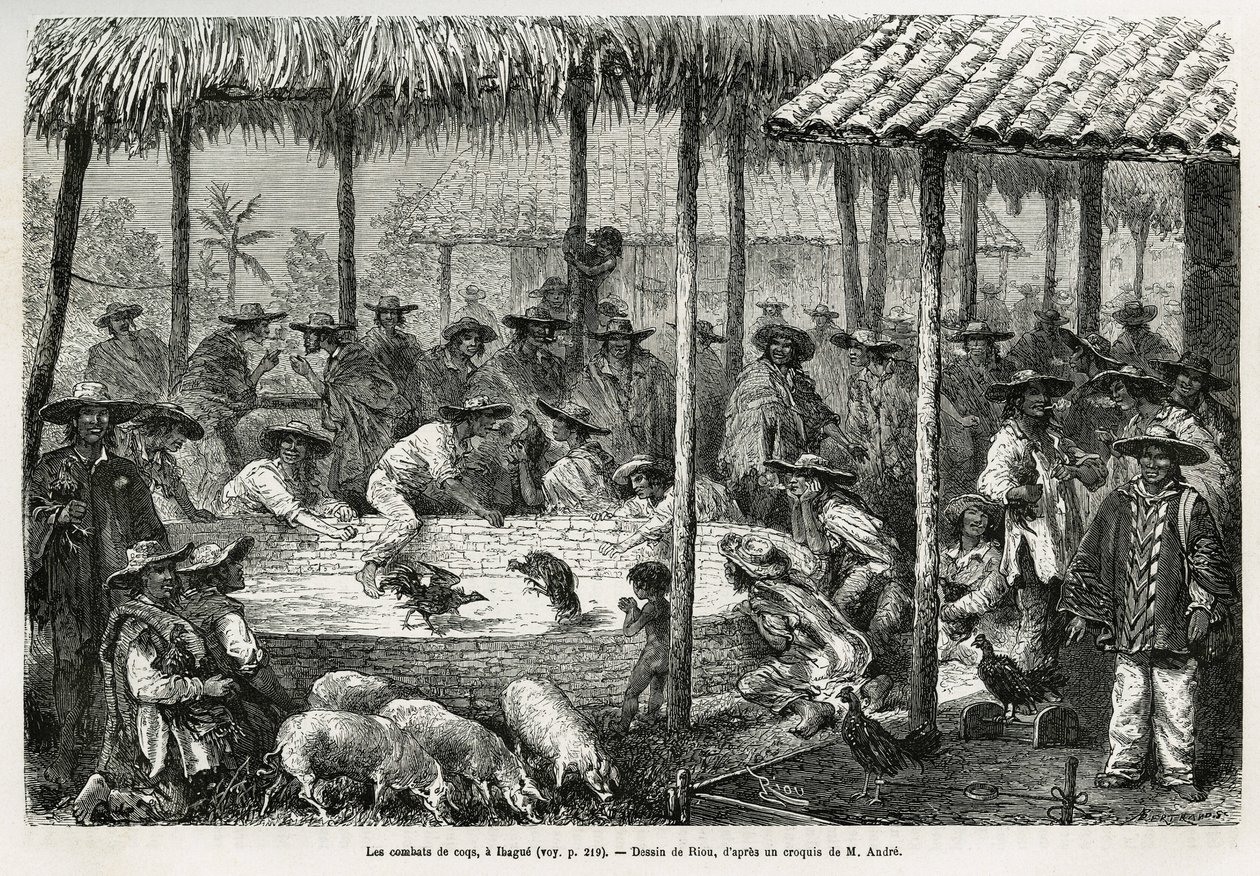 伊巴格（哥伦比亚）的斗鸡和街头动画，由Riou绘制，用于说明1875-1876年Equinoxiale America（哥伦比亚、厄瓜多尔、秘鲁）的故事，由法国政府负责的旅行者代表团Ed.雕刻在《世界之旅》中 作者 爱德华·里奥（Edouard Riou）