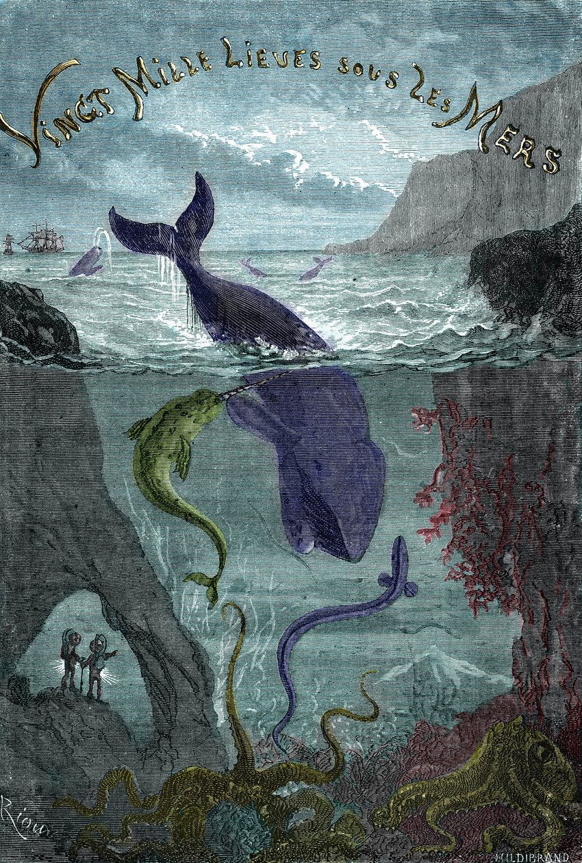 儒勒-凡尔纳的作品 "海滨的两万个谎言"（20,000 - 20,000 - 20000）的雕刻版画 作者 爱德华·里奥（Edouard Riou）