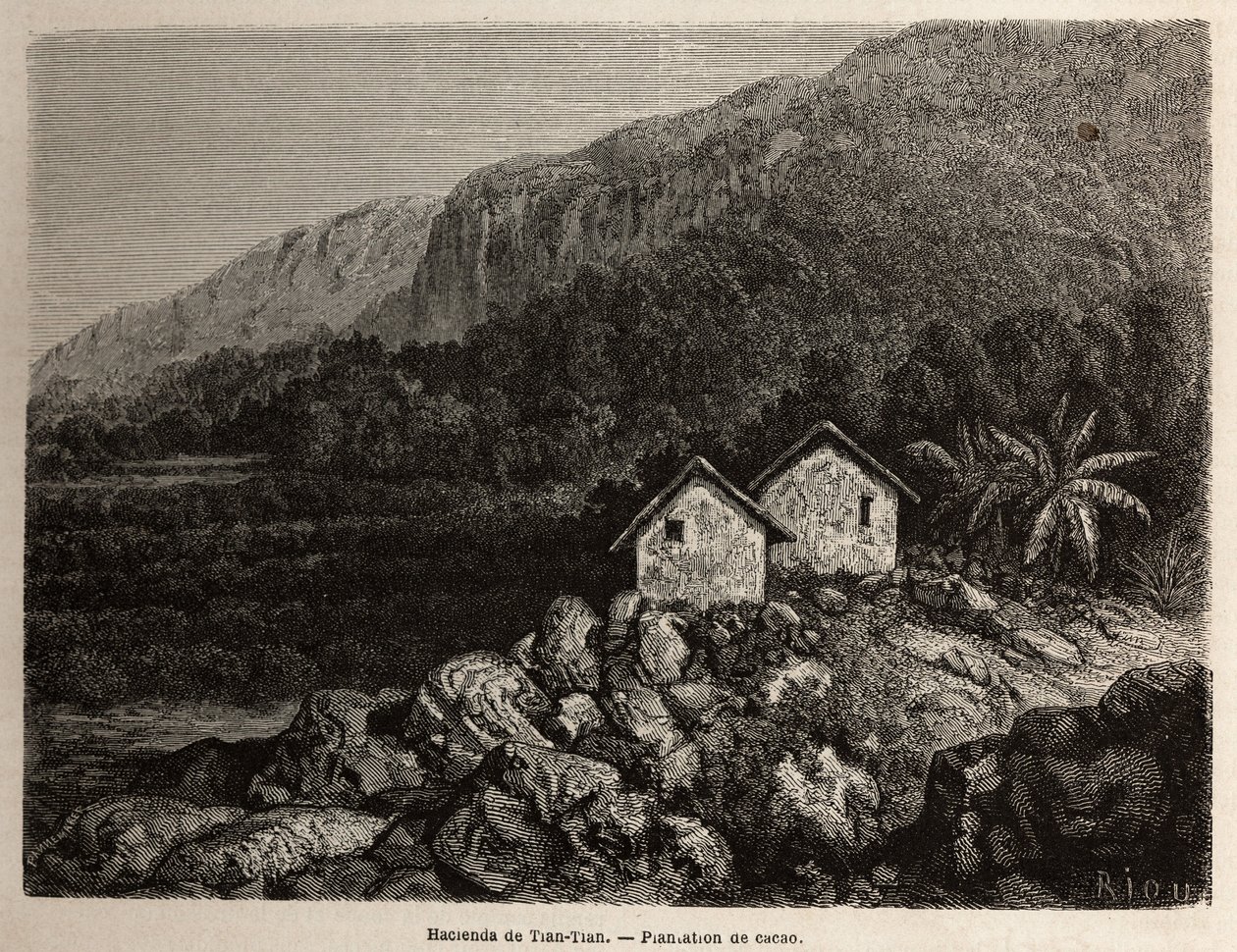 秘鲁田田庄园和 Riou 绘制的可可种植园，描绘了 Paul Marcoy 从 1848 年到 1860 年穿越南美洲的旅程。雕刻在“Le tour du monde”，Edouard Charton 编辑 作者 爱德华·里奥（Edouard Riou）