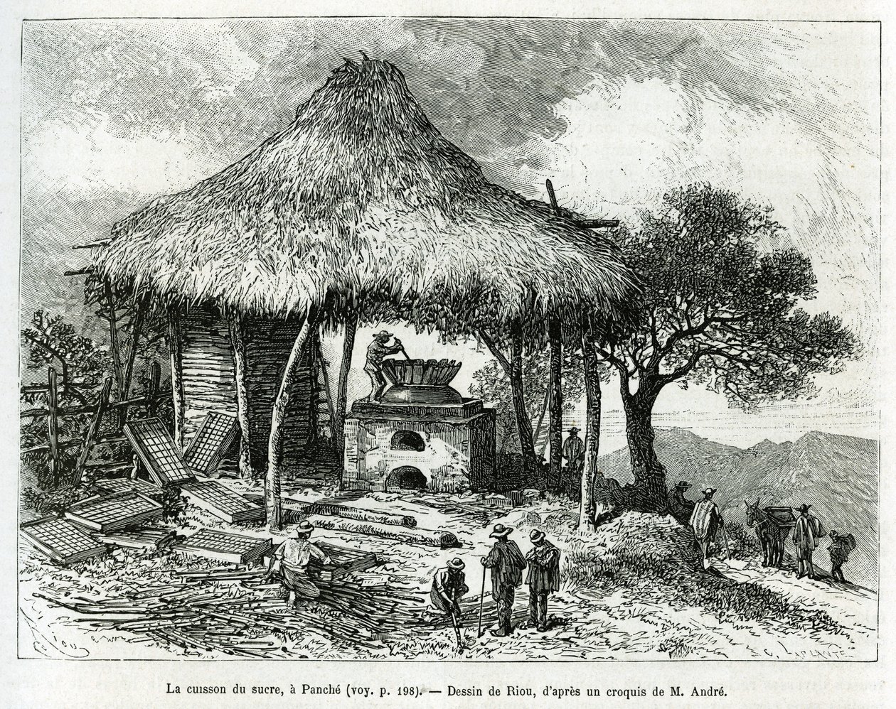 位于 Panche（哥伦比亚）的糖烤炉，由 Riou 绘制，用于说明 1875-1876 年 Ed. 安德烈，法国政府负责旅行者任务。 在 Le tour du monde 雕刻 作者 爱德华·里奥（Edouard Riou）