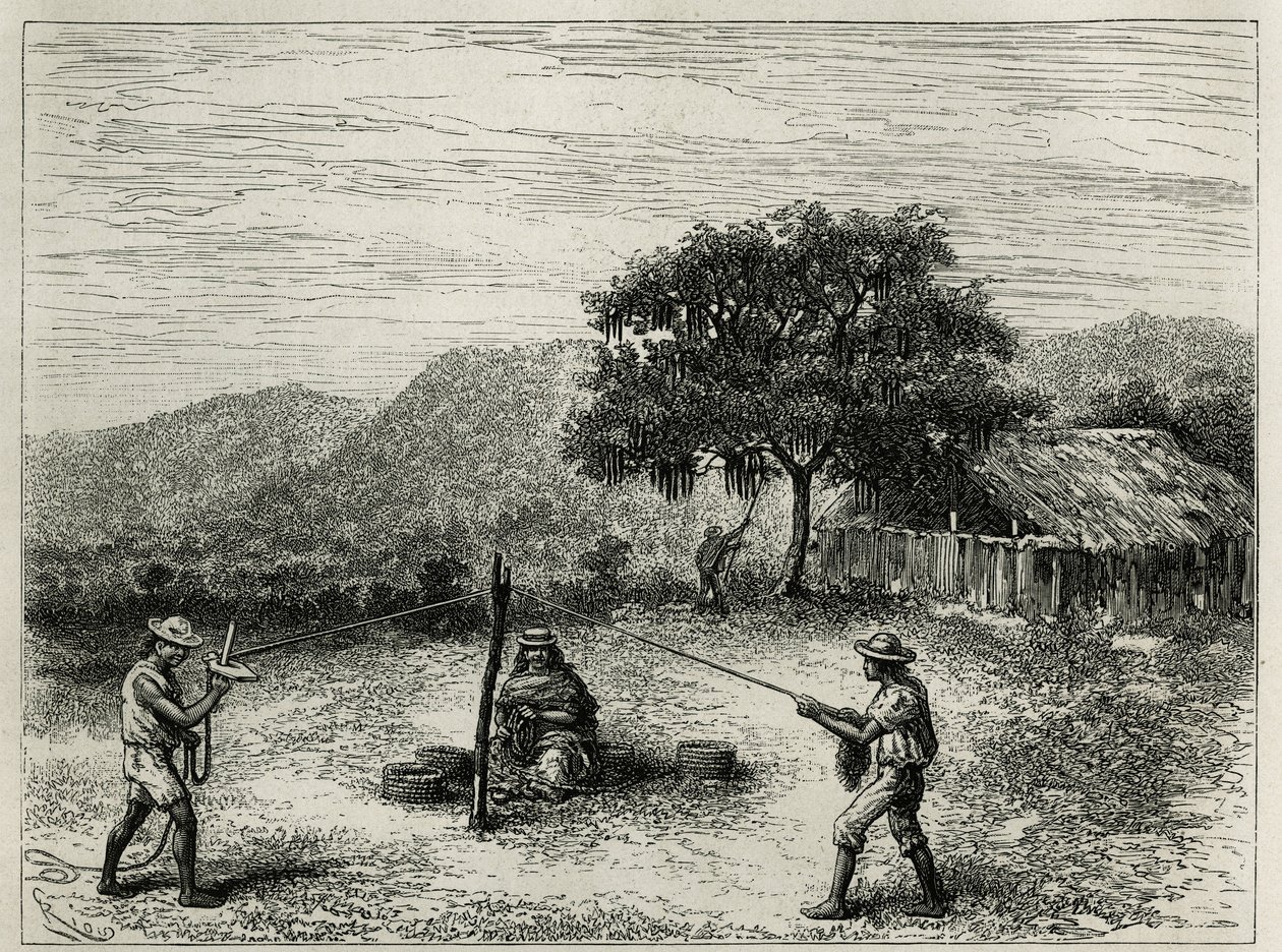 The manufacture of the cabuya, string of Fourcroya, near Cartago (Colombia), engraving by Riou, to illustrate the story of Equinoxiale America by E.Andre, mission assignment by the French government, published in the tour du monde, under the direction of E 作者 爱德华·里奥（Edouard Riou）