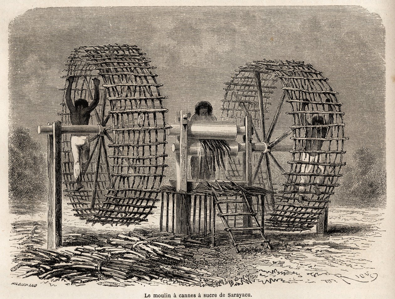 从萨拉亚库（秘鲁）研磨甘蔗的磨坊，由 Riou 绘制，用于说明 Paul Marcoy 从 1848 年到 1860 年从太平洋到大西洋的旅程。Edouard Charton 编辑的“Le tour du monde”版画 作者 爱德华·里奥（Edouard Riou）