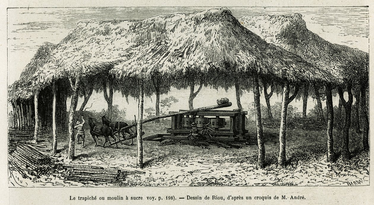1875 年至 1876 年，Ed. 在 Panche（哥伦比亚）绘制的用于磨碎甘蔗的 Trapiche 或糖厂，由 Riou 绘制，以说明 Equinoxiale America（哥伦比亚、厄瓜多尔、秘鲁）的故事。 安德烈，法国政府负责旅行者任务。 在 Le t 雕刻 作者 爱德华·里奥（Edouard Riou）
