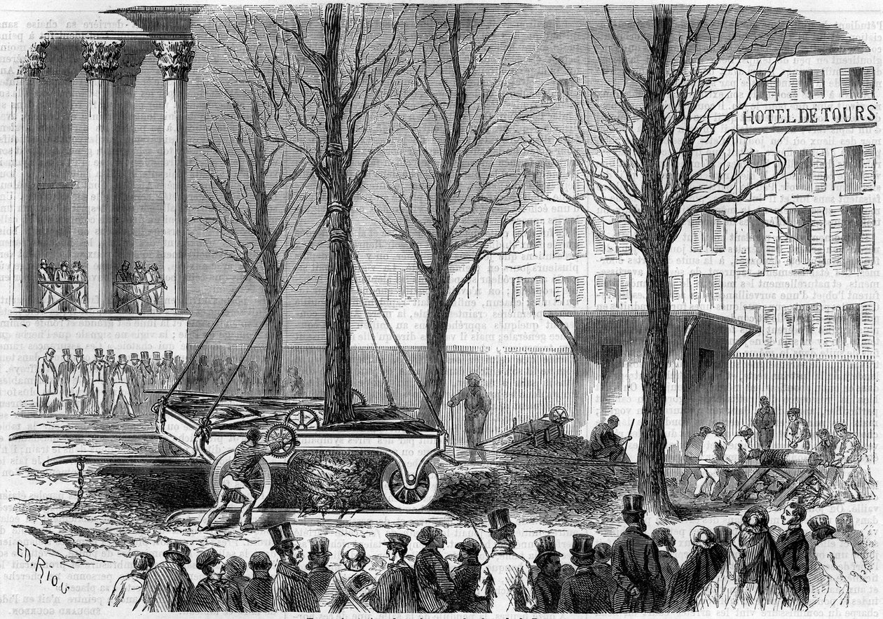 1858年冬天在巴黎交易所广场的树木移植。1858年2月27日《世界画报》第46期上的Riou的版画。 作者 爱德华·里奥（Edouard Riou）