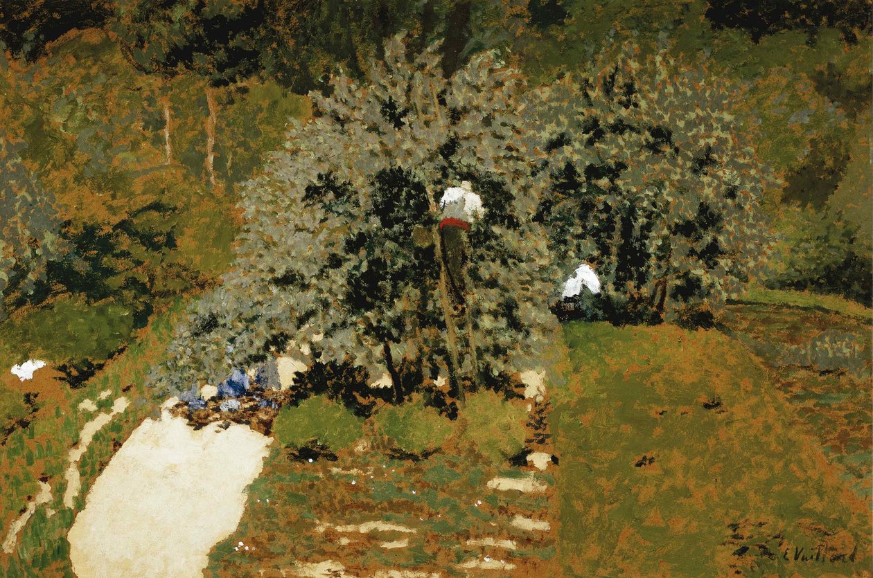 匹克（1899-1900）。 作者 爱德华·维拉德