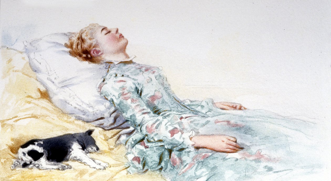 睡美人。 查尔斯·佩罗的故事。 Edouard de Beaumont 的插图 作者 爱德华·德（后）博蒙特