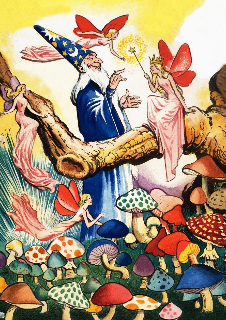 蘑菇森林里的魔法师 作者 爱德华多·特谢拉·科埃略
