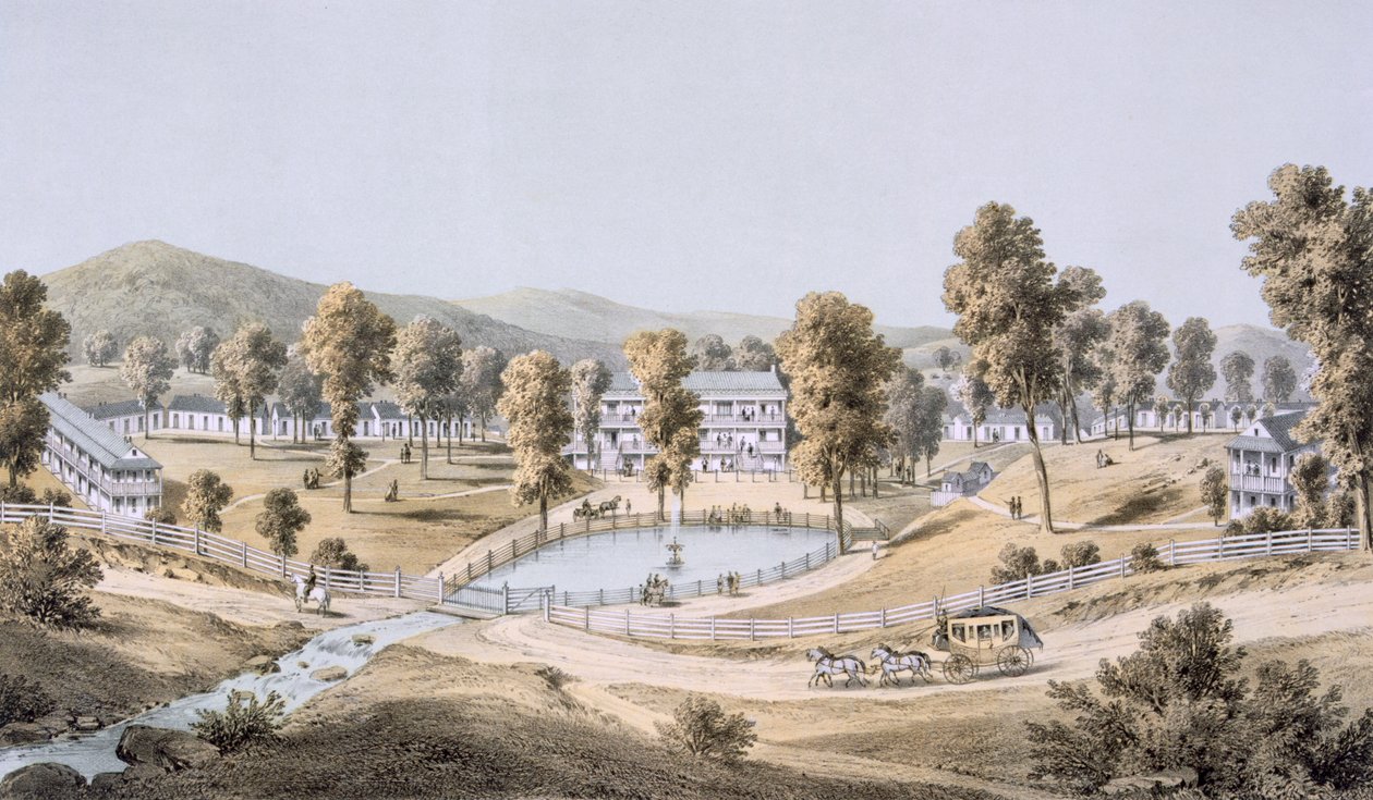 黄色硫磺泉，蒙哥马利县，1858年 作者 爱德华·拜尔