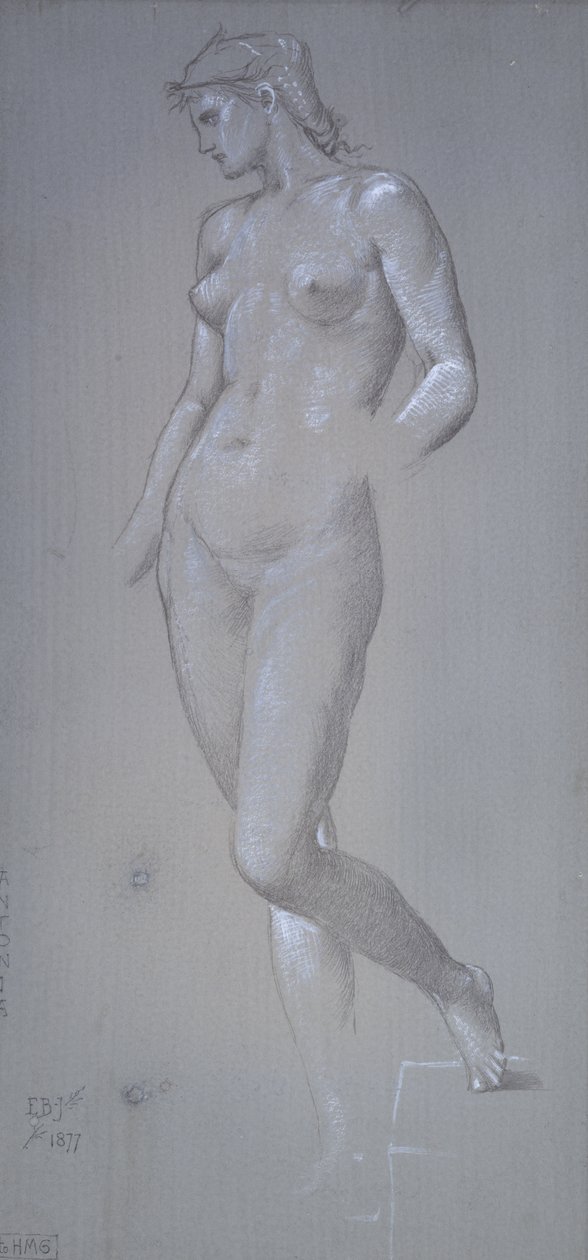Antonia，1877年（Silverpoint和身体颜色在灰色准备的地面上） 作者 爱德华·伯恩·琼斯