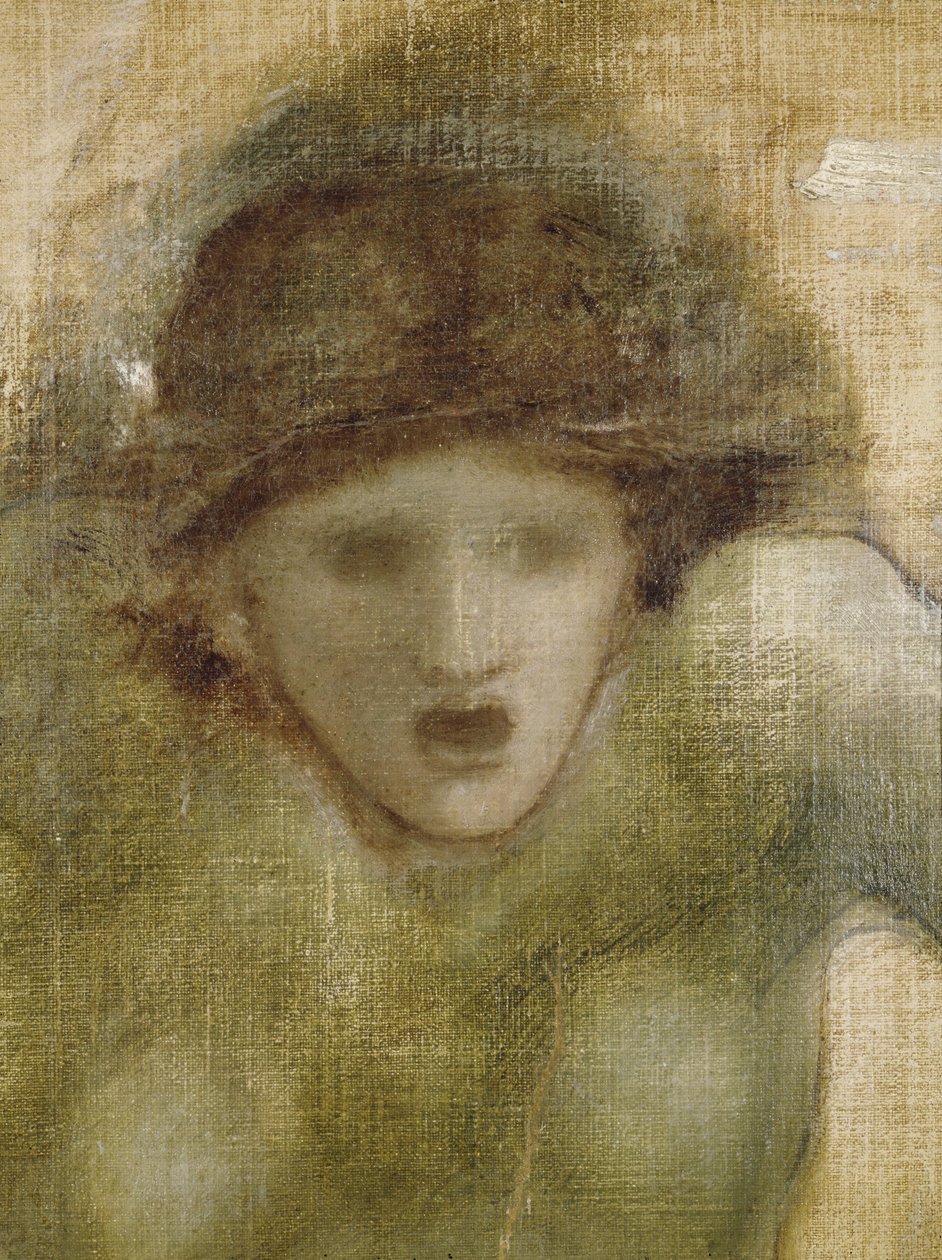英仙座研究，1876年 作者 爱德华·伯恩·琼斯