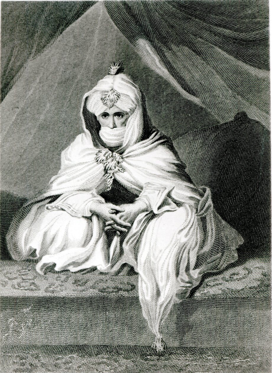 Alameen Ben Mohammed（El Kanemy），来自“北非和中非的旅行和发现的叙事”，1826年 作者 爱德华·弗朗西斯·芬德