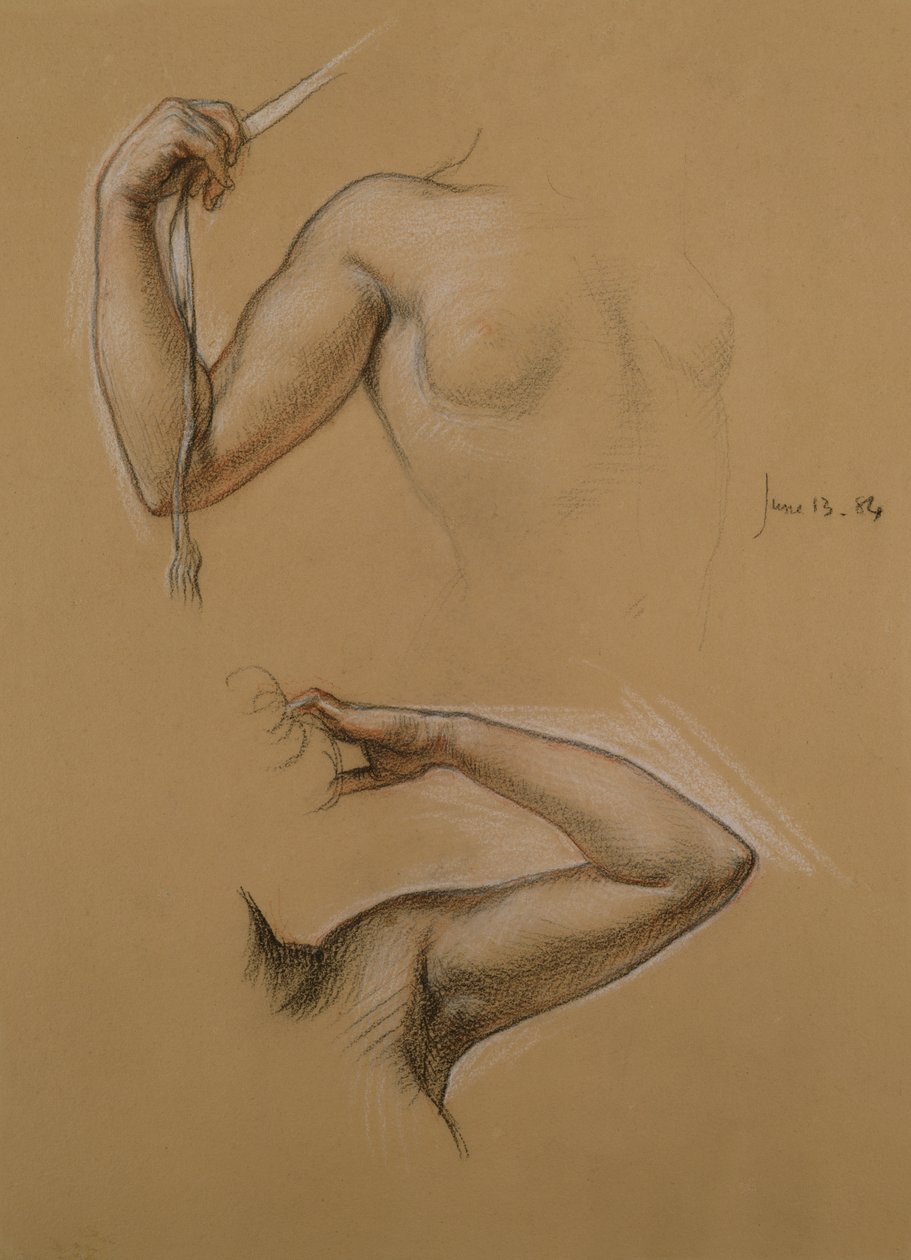 一项关于&39;Diadumene&39;的女孩的肩膀和凸起的手臂的两项研究，1884年（粉笔在纸上） 作者 爱德华·约翰·波因特