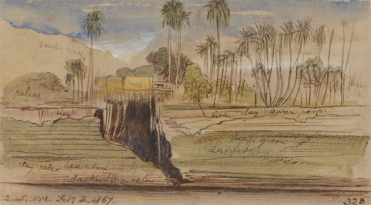 在Ibreem和Wady Halfeh之间，1867年2月2日下午2点45分（328） 作者 爱德华·李尔