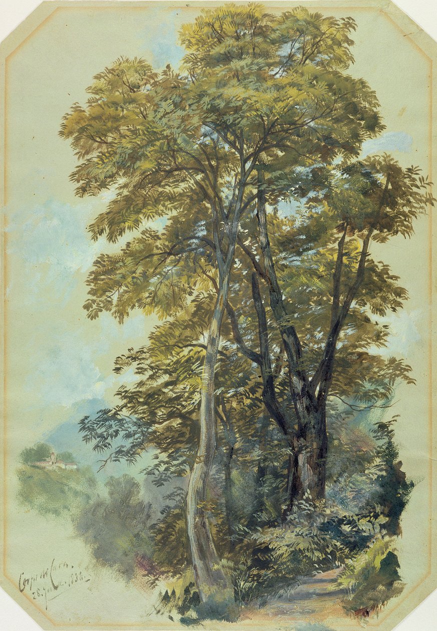 Edward Lear，Corpo di Cava，1838年6月28日（灰色编织纸上的油） 作者 爱德华·李尔
