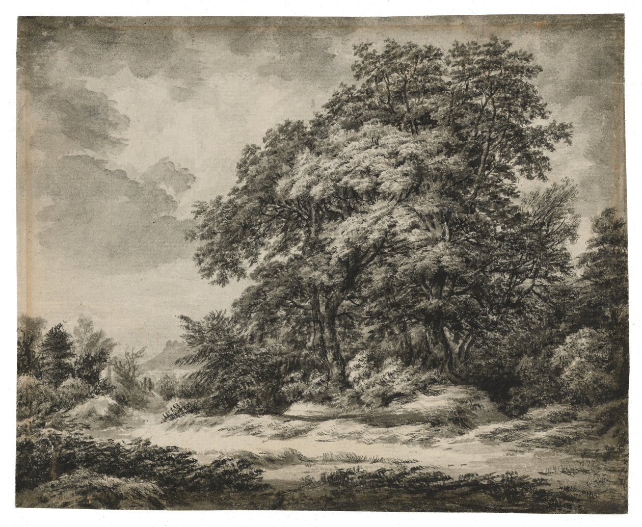 森林景观（正面），c。 1838-1848（纸上的水墨和水洗） 作者 爱德华·李尔