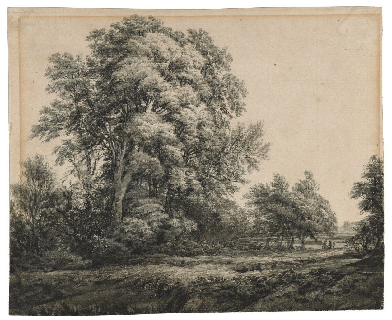森林景观，c。 1838-1848（纸上的水墨和水洗） 作者 爱德华·李尔