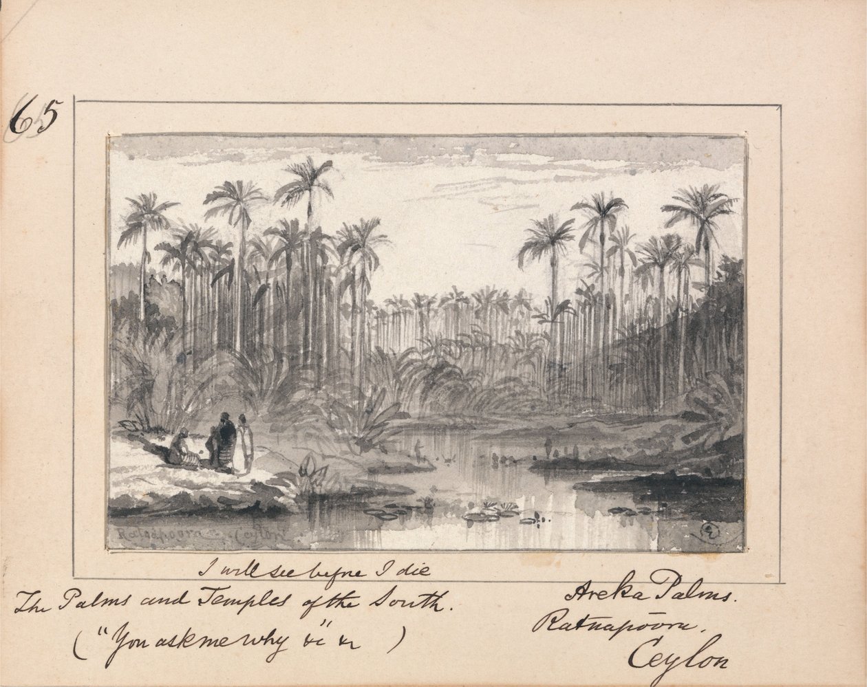 对Tennysons的插图你问我为什么 -  Areka Palms，Ratanapooru，Ceylon 作者 爱德华·李尔