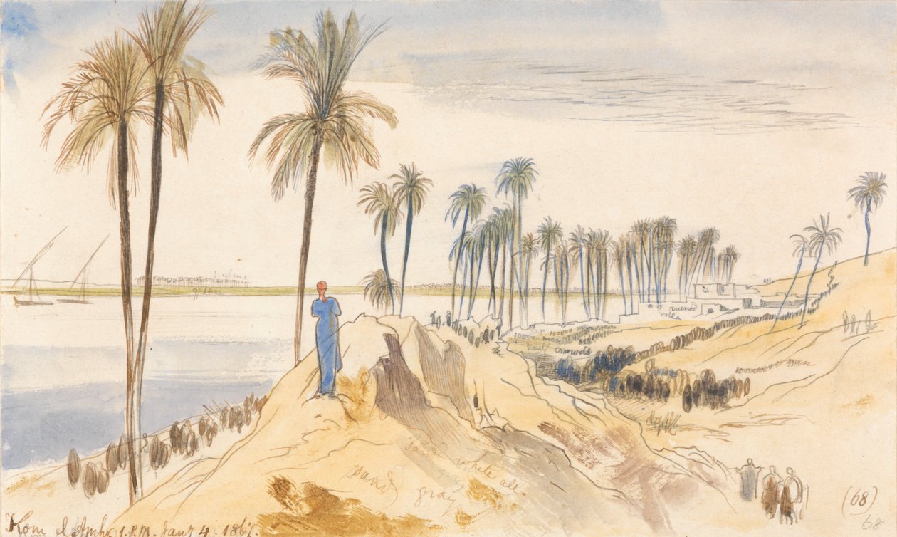 Kom el Amhr，1867年1月4日下午1点（68） 作者 爱德华·李尔
