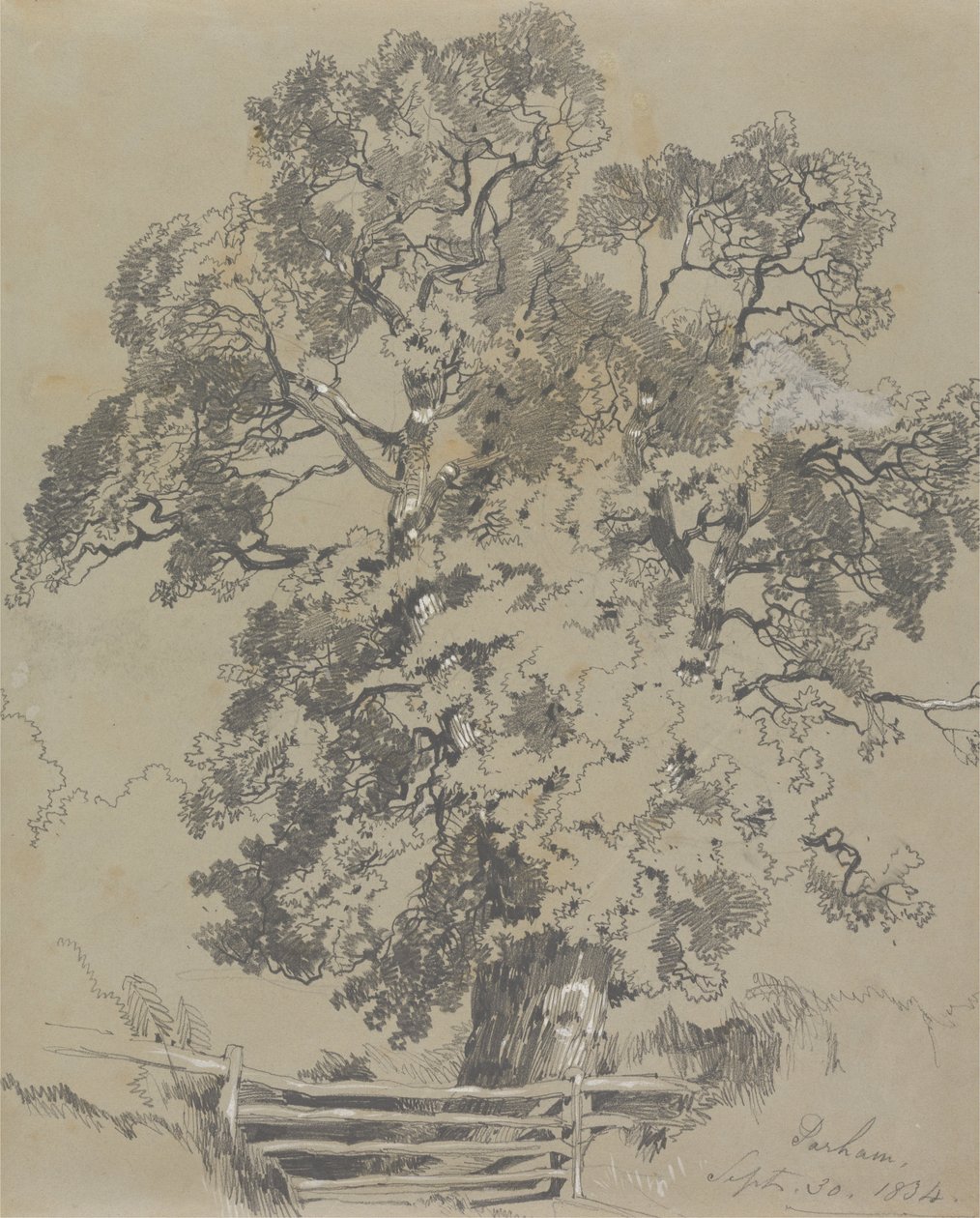 Parham，1834年9月30日 作者 爱德华·李尔