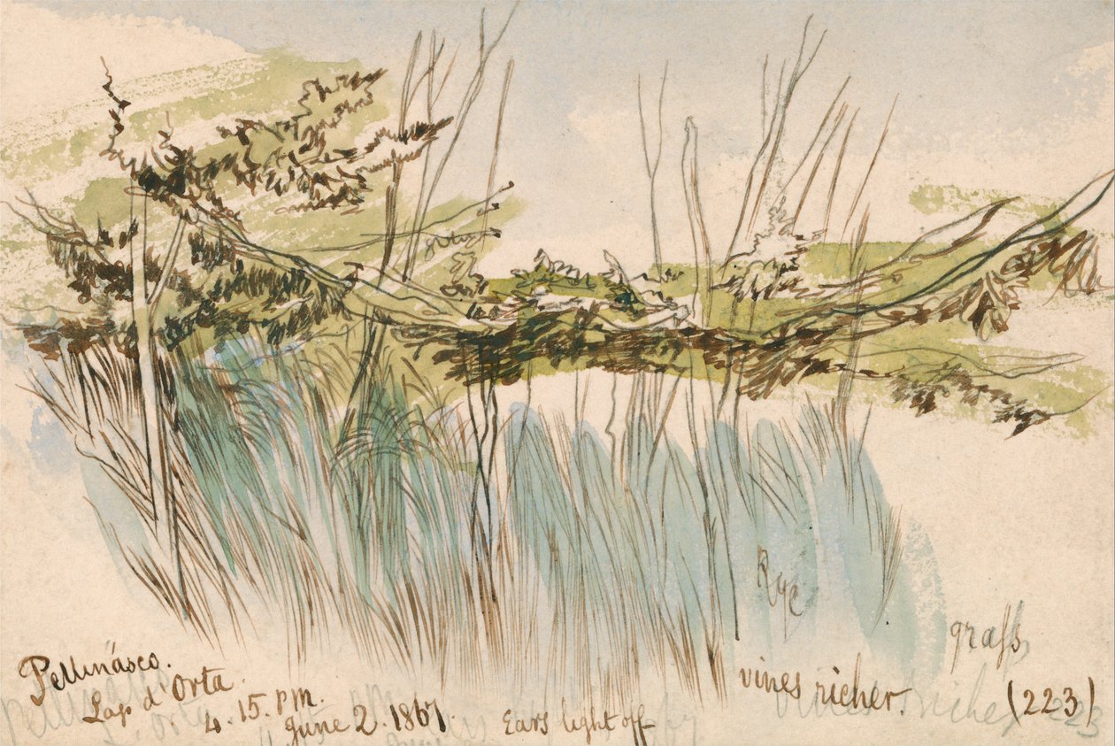 Pettenasco，Lago dOrta 作者 爱德华·李尔