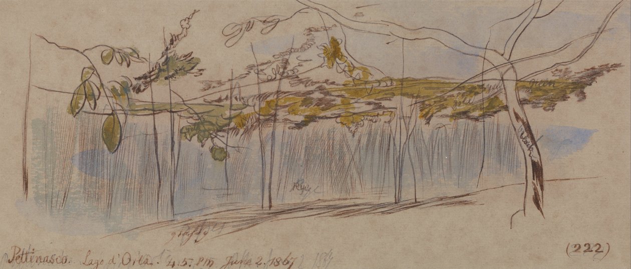 Pettenasco，Lago dOrta 作者 爱德华·李尔