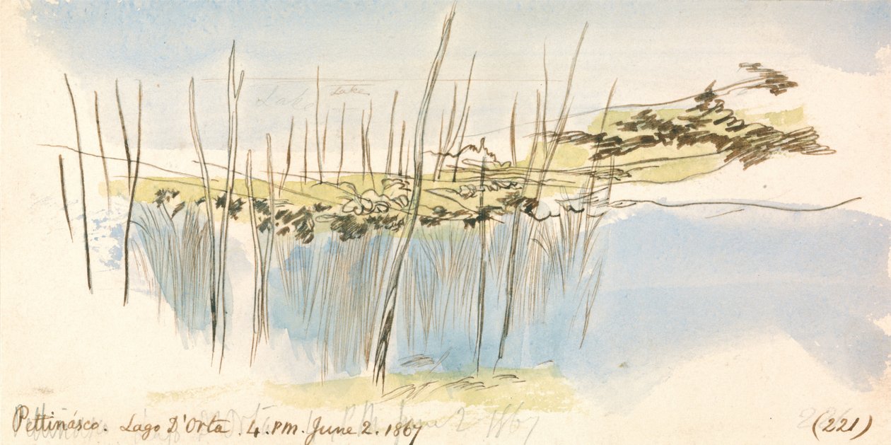 Pettenasco，Lago dOrta，1867年6月2日下午4点（221） 作者 爱德华·李尔