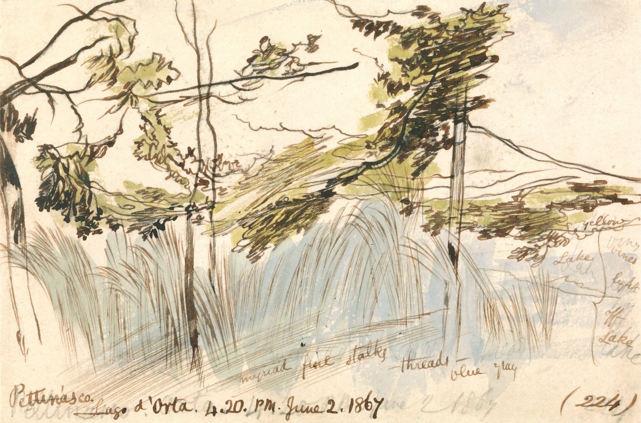 Pettenasco，Lago dOrta，1867年6月2日下午4点至20点（224） 作者 爱德华·李尔