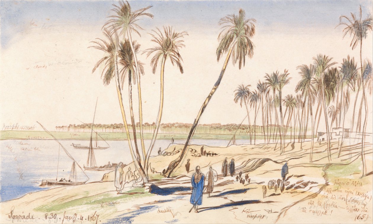 Sowadi，1867年1月4日上午8-30点（65） 作者 爱德华·李尔