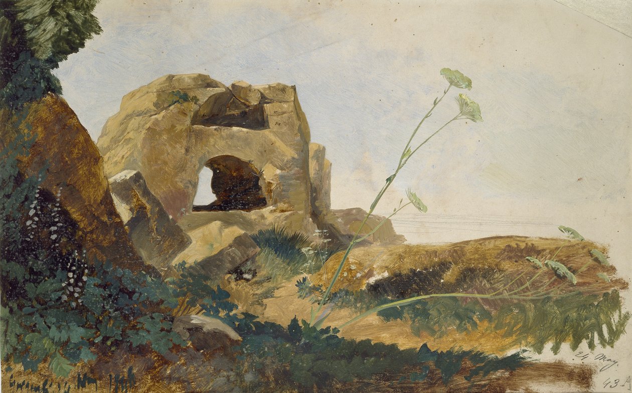 研究岩石和植物，Agrigento（Girgenti），西西里岛，1847年（油亮闪亮的白纸） 作者 爱德华·李尔