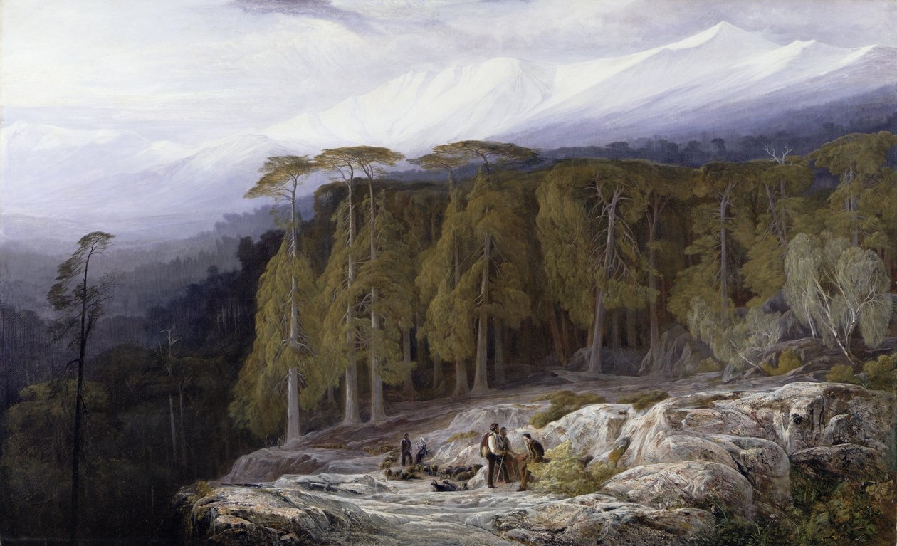 1869年，科西嘉岛的Valdoniello森林 作者 爱德华·李尔
