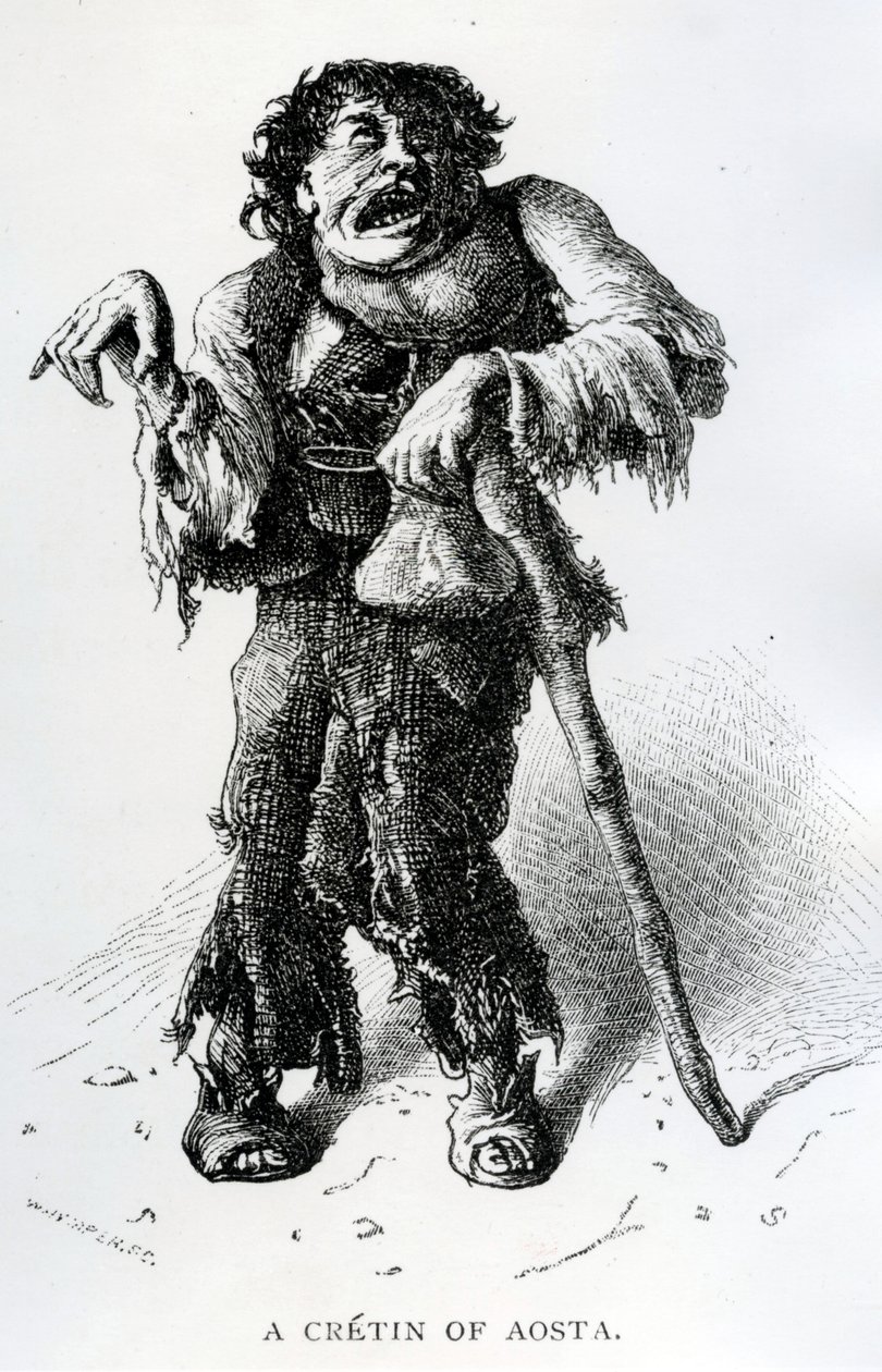 奥斯塔的Crétin，1870年（木版画） 作者 爱德华·怀姆珀