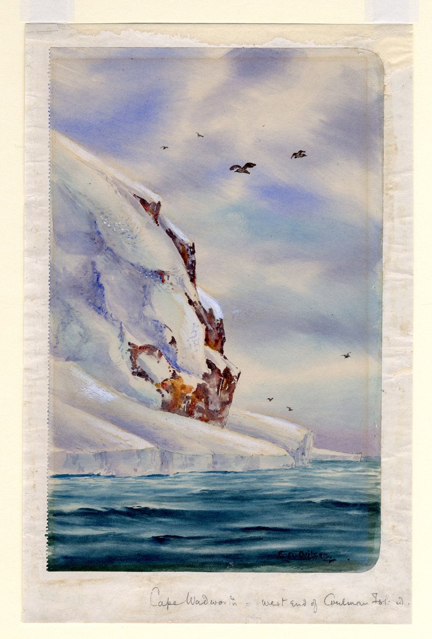 Cape Wadsworth，库尔曼岛（纸上wc） 作者 爱德华·阿德里安·威尔逊