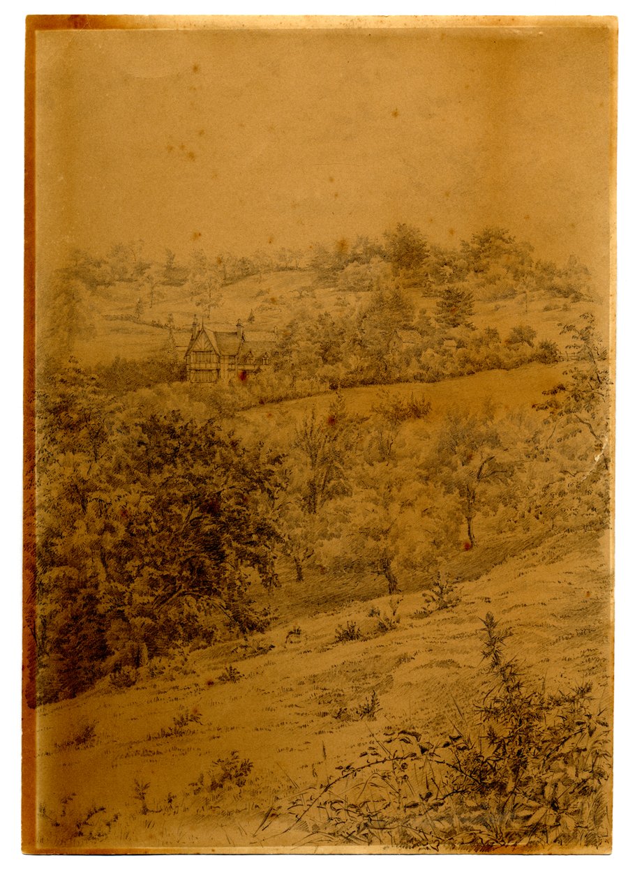 Crippets，1895年（笔和墨水在纸上洗） 作者 爱德华·阿德里安·威尔逊