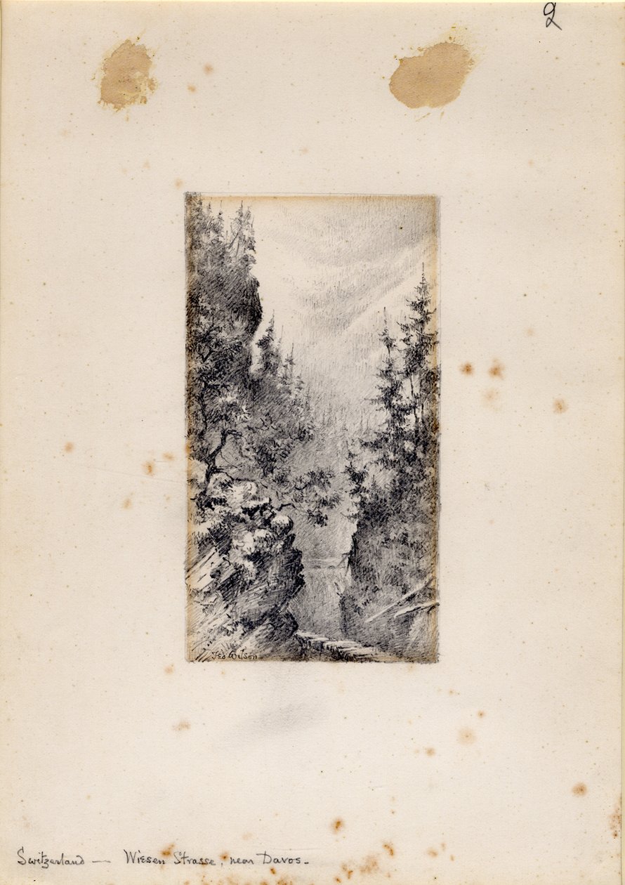 Wiesen Strasse在瑞士达沃斯附近，1898-99 作者 爱德华·阿德里安·威尔逊