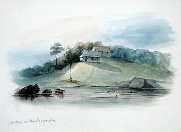 英属圭亚那埃西基博河上的车站，约1840年（纸上水彩）。 作者 爱德华·安吉洛·古德尔