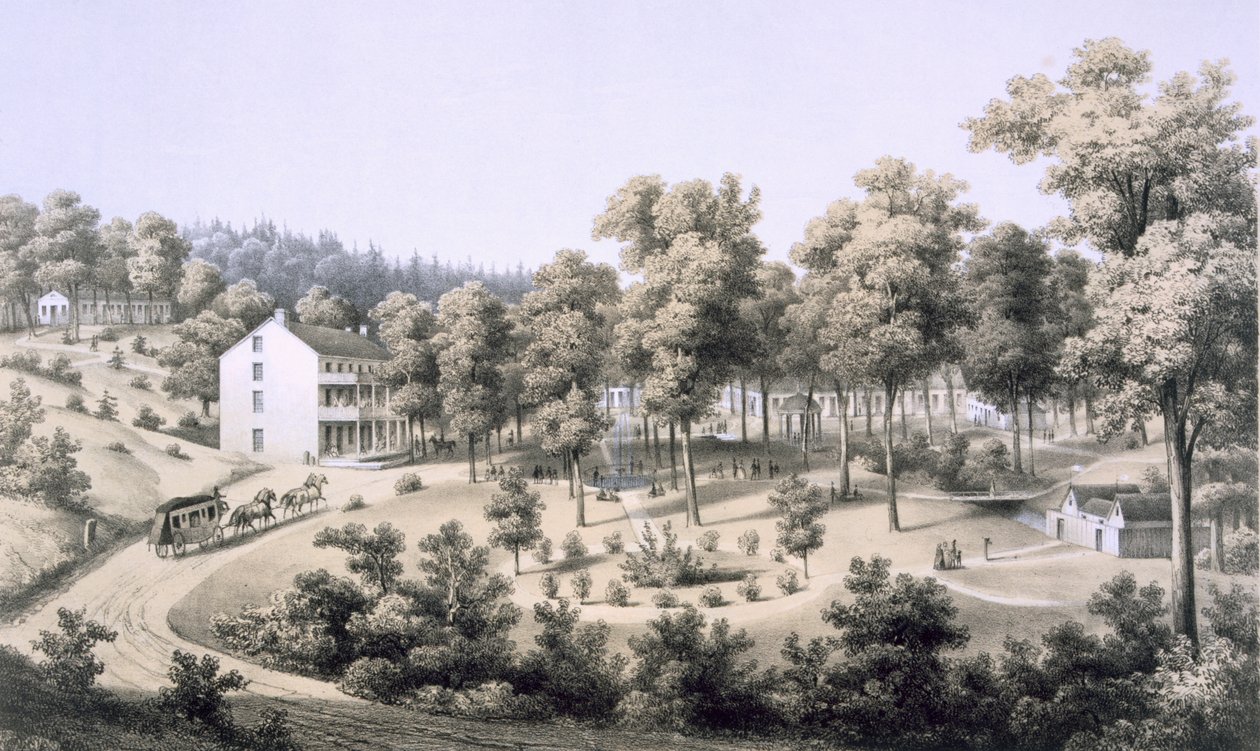 Stribling Springs，Spa Village，Augusta Country，1858 作者 爱德华·拜尔
