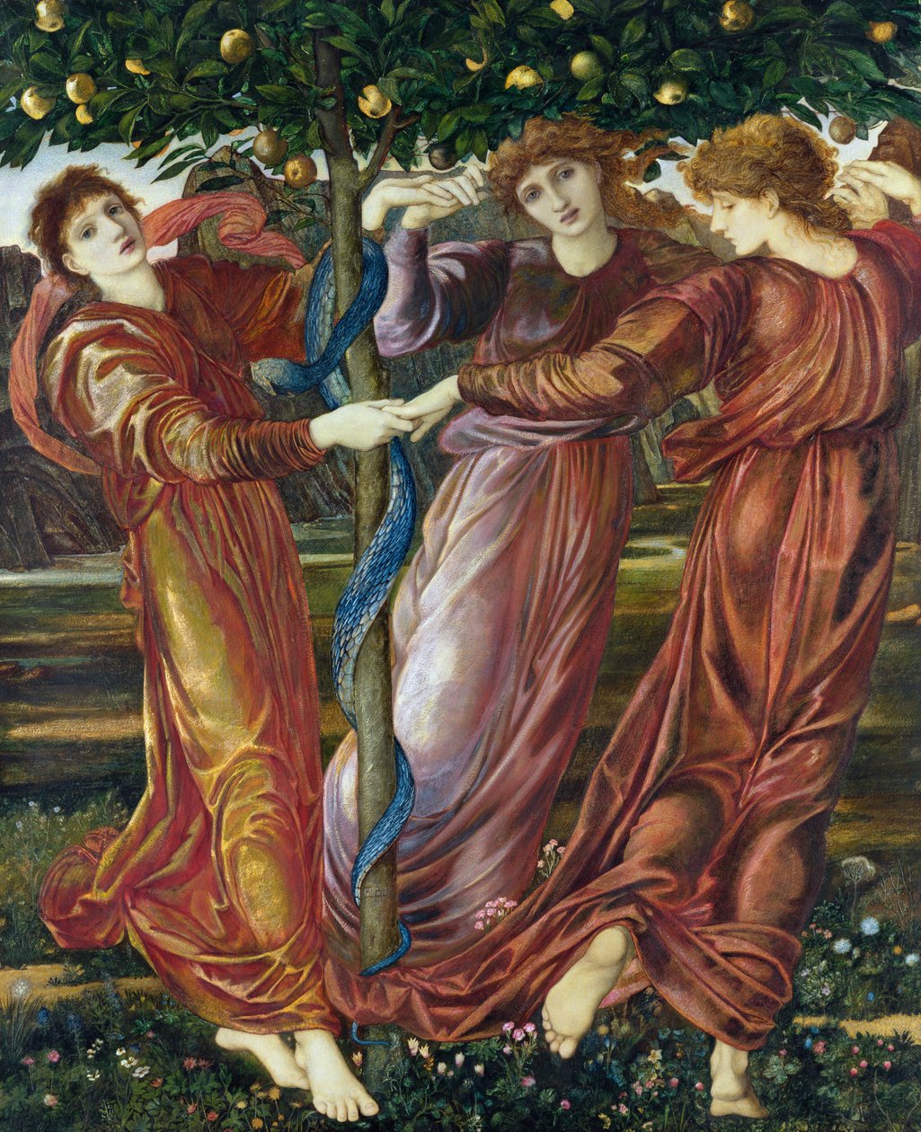 Hesperides花园，1869-73（蛋彩画，水粉和卡片和画布上的油） 作者 爱德华·伯恩·琼斯