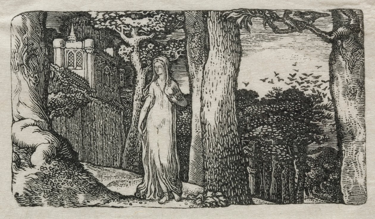 《淑女与白鸦》，1829年。 作者 爱德华·卡尔弗特
