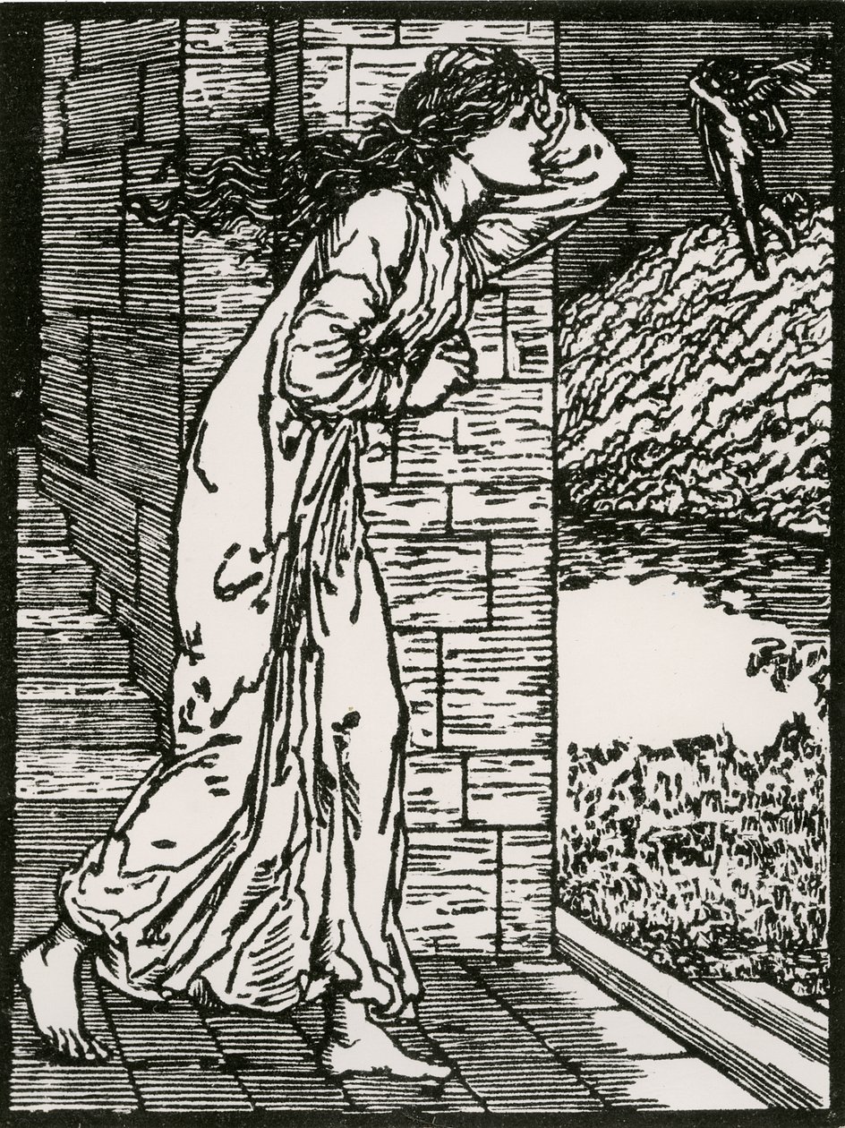 普赛克冲出宫殿 作者 爱德华·科利（之后）伯恩·琼斯（Burne Jones）