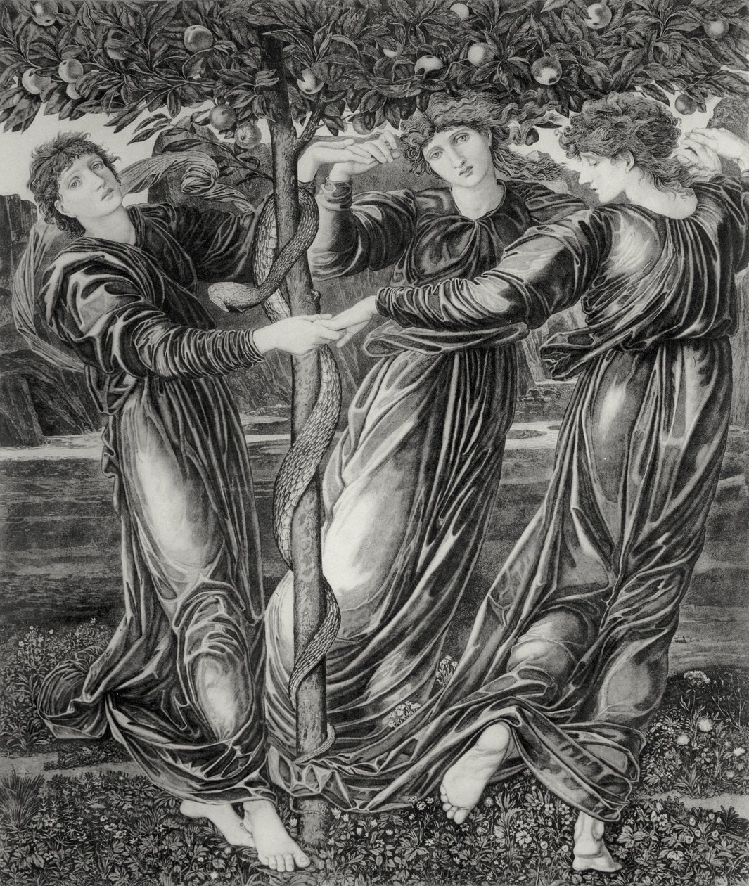 赫斯珀里得斯花园 作者 爱德华·科利（之后）伯恩·琼斯（Burne Jones）