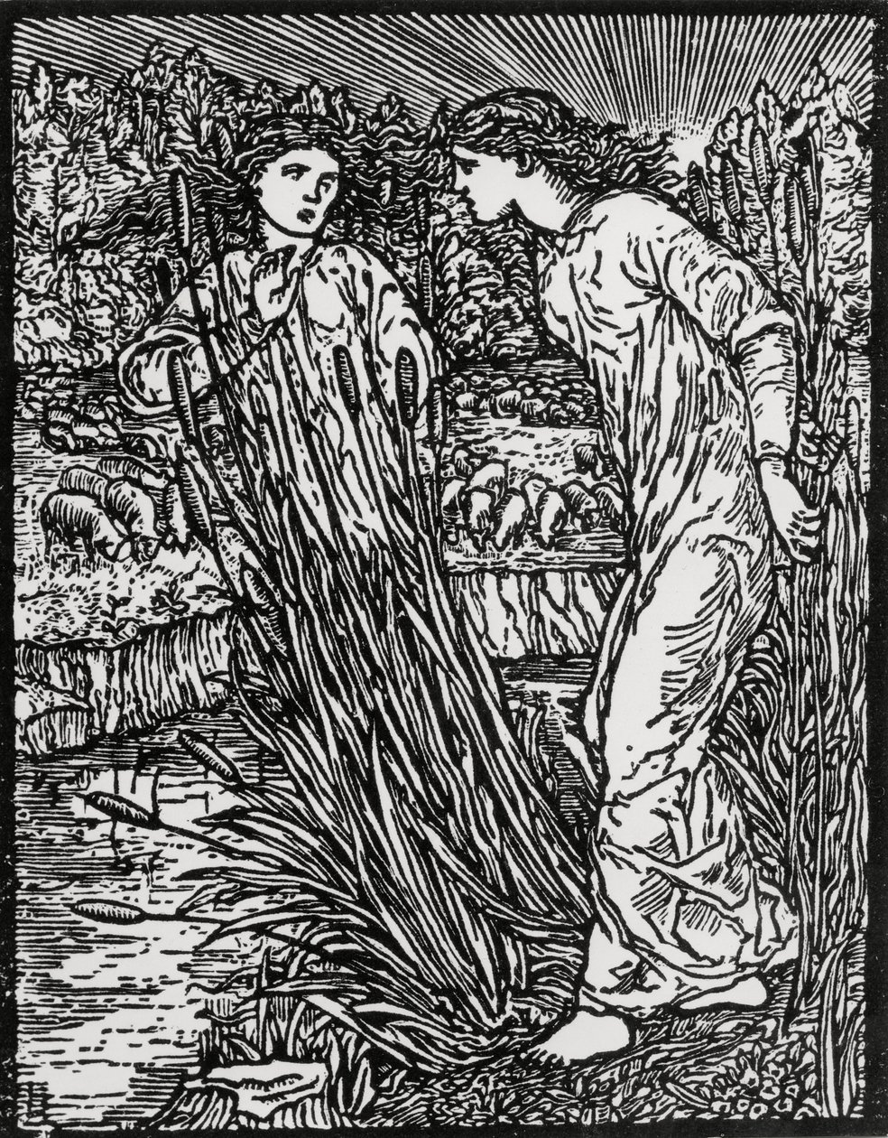 金毛羊的任务 作者 爱德华·科利（之后）伯恩·琼斯（Burne Jones）