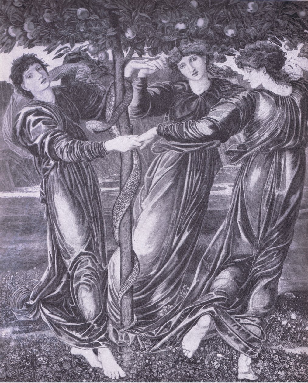 The garden of Hespirides, Bibbys Annual 作者 爱德华·科利（之后）伯恩·琼斯（Burne Jones）