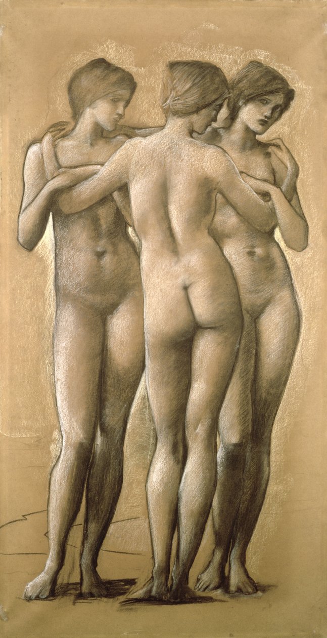 维纳斯·康科迪亚-研究三个恩惠，1895年 作者 爱德华·伯恩·琼斯