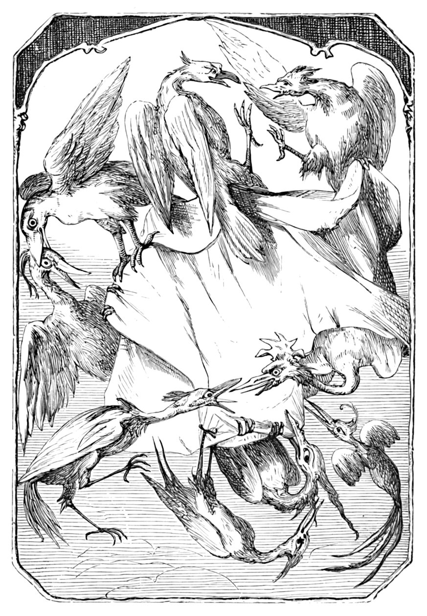 驴白菜，1901年 作者 爱德华·亨利·韦纳特
