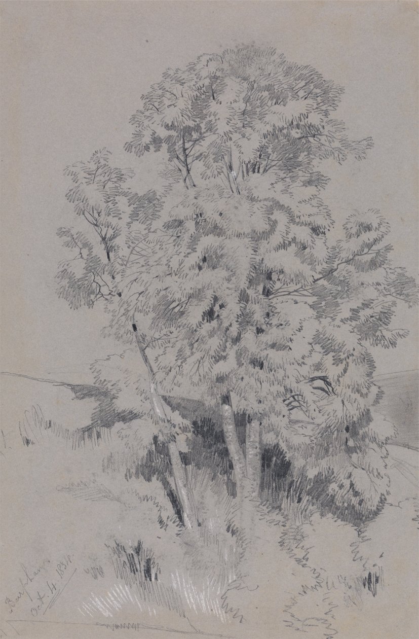 伯法姆 1834 年 10 月 4 日 作者 爱德华·李尔