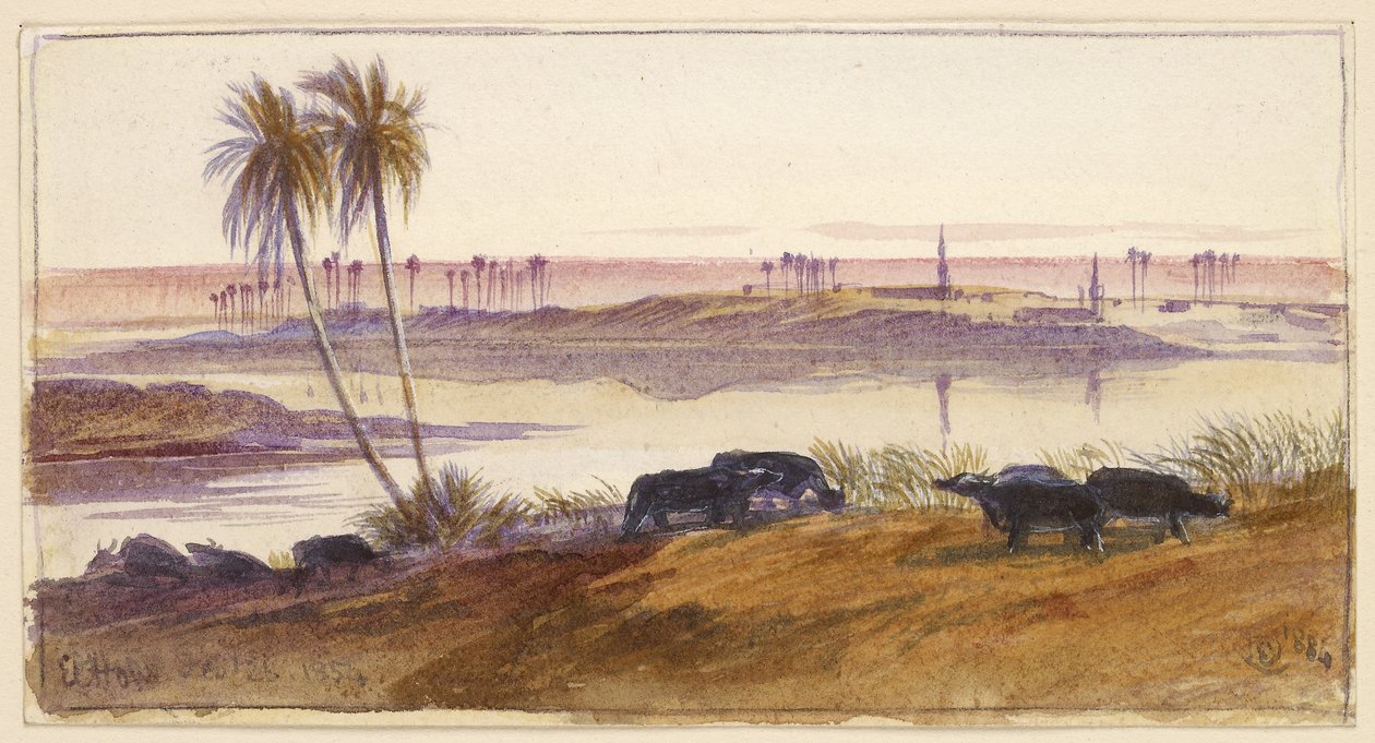 El Haw，埃及，1884年（水彩和钢笔和墨水与身体颜色） 作者 爱德华·李尔