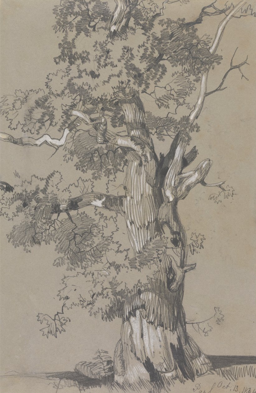 帕勒姆，1834 年 10 月 13 日 作者 爱德华·李尔