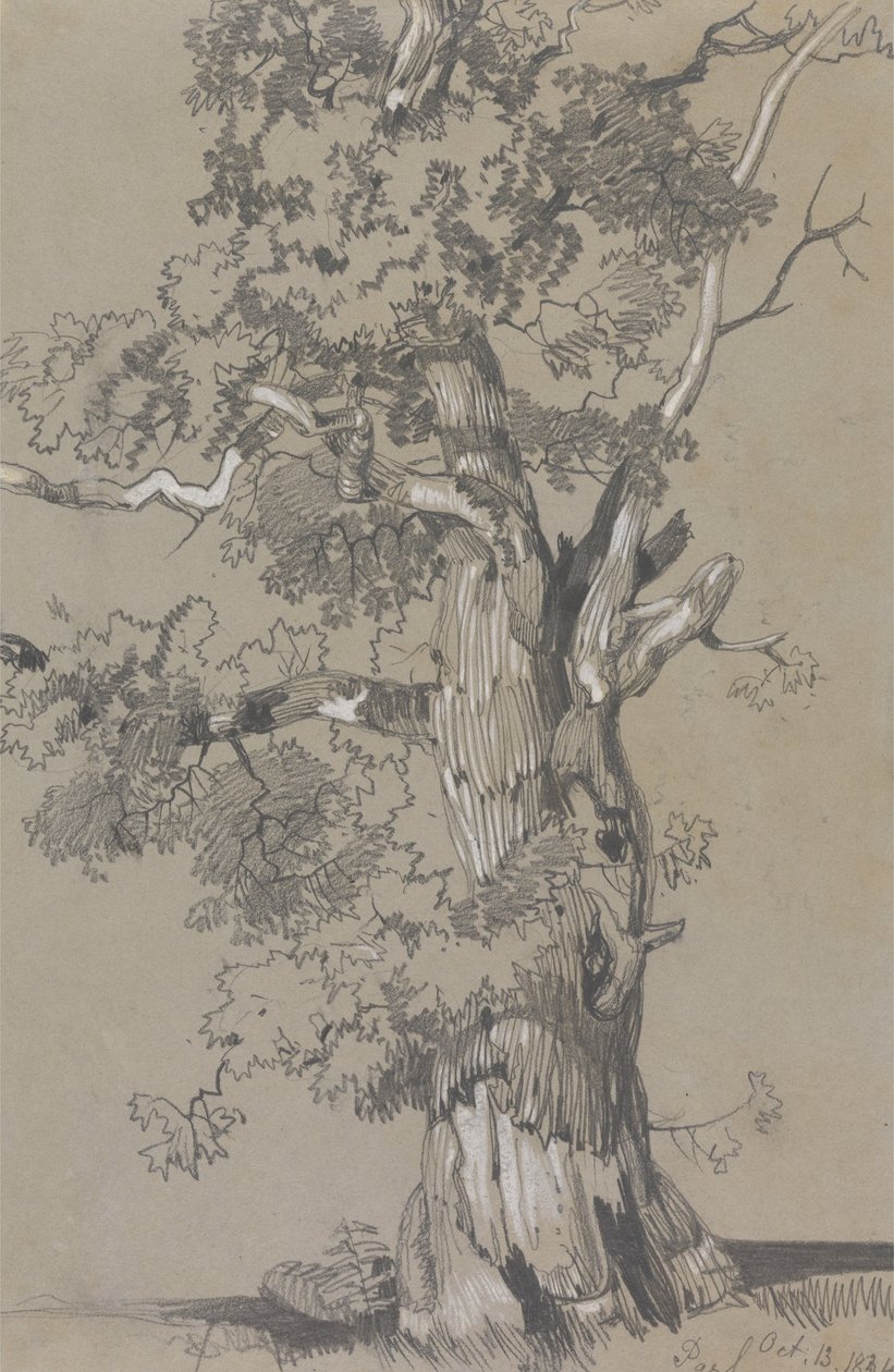 帕勒姆，1834 年 10 月 13 日 作者 爱德华·李尔