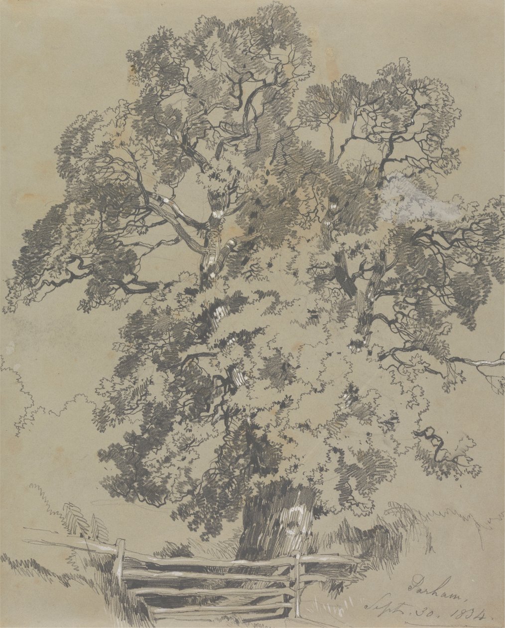 帕勒姆，1834年9月30日 作者 爱德华·李尔